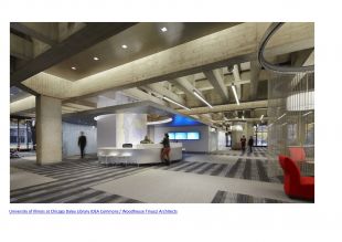 University of Illions at Chicago Daley Library IDEA Commons / Woodhouse Tinucci Architecture
